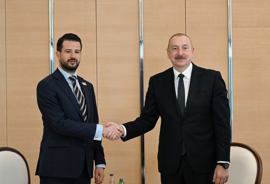 Prezident İlham Əliyev Monteneqronun Prezidenti ilə görüşüb  YENİLƏNİB VİDEO