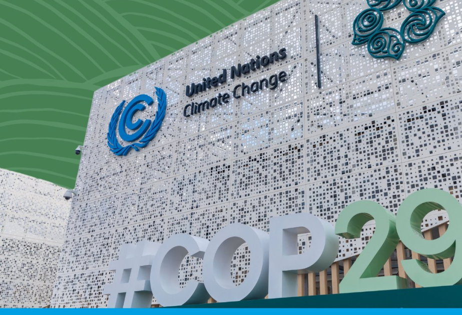 В ЮНЕП призвали участников COP29 к сокращению выбросов оксида азота
