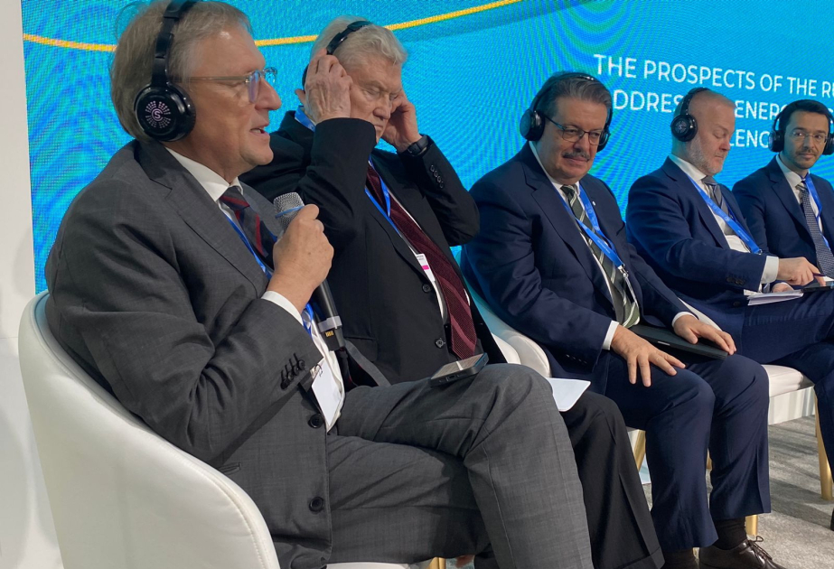 Boris Titov: COP29 qlobal istiləşmə ilə mübarizə üzrə yeni iqtisadi ittifaqların əsasını qoymaq şansı verir