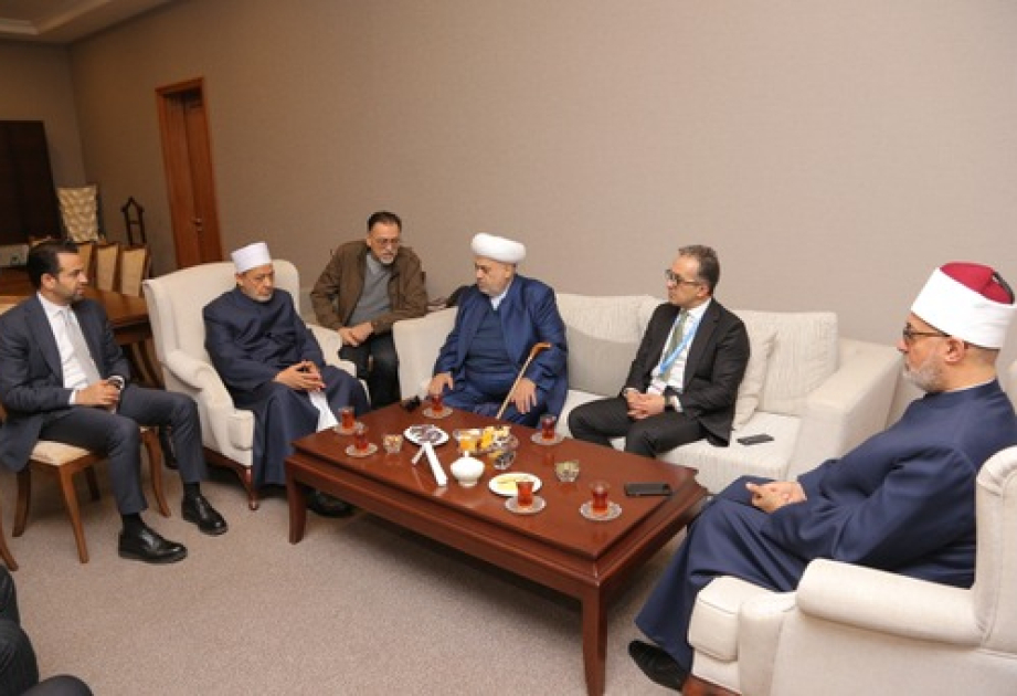 Qafqaz Müsəlmanları İdarəsinin sədri Əl-Əzhər Əl-Şərifin baş imamı ilə görüşüb