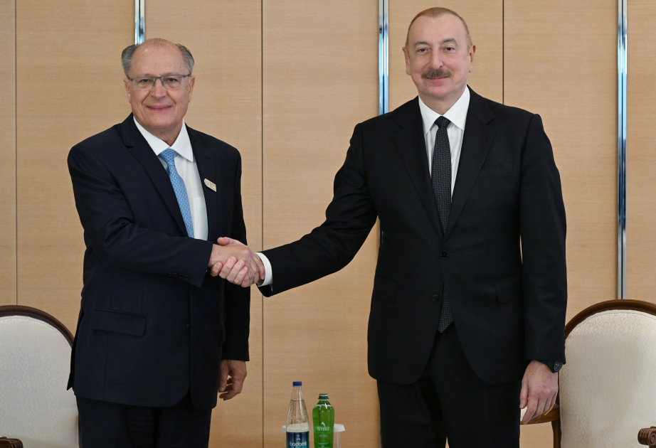 President of Azerbaijan Ilham Aliyev met with Vice-President of Brazil VIDEO