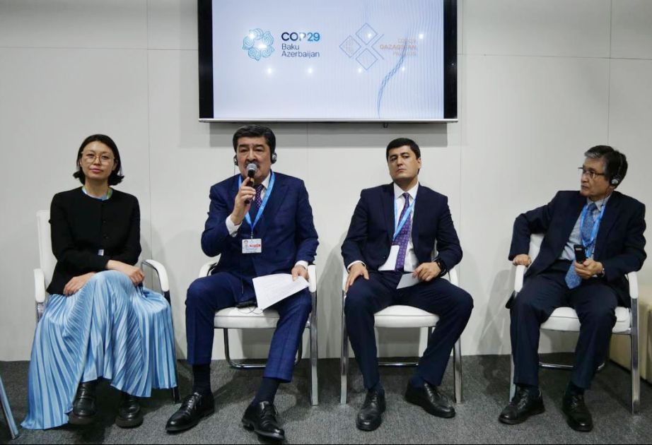 Казахстан примет Региональный климатический саммит в 2026 году