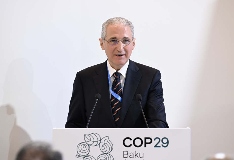 COP29-da hökumətlərin iqlim sahəsində fəaliyyətlərinin nəticələri ilə bağlı tədbir təşkil olunub