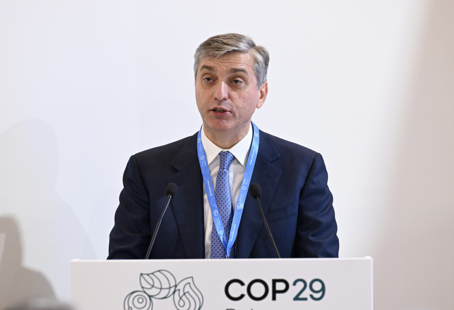 COP29: İqlim probleminin həlli üçün dövlət maliyyə mənbələri kifayət etmir