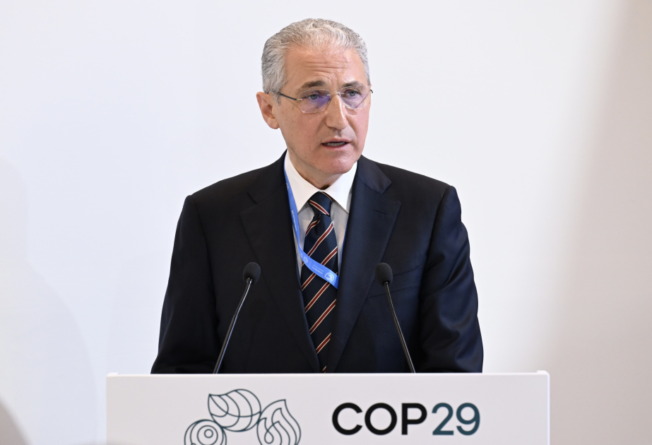 COP29: İqlim fəaliyyəti sahəsində monitorinq mexanizmlərinin gücləndirilməsinə ehtiyac var