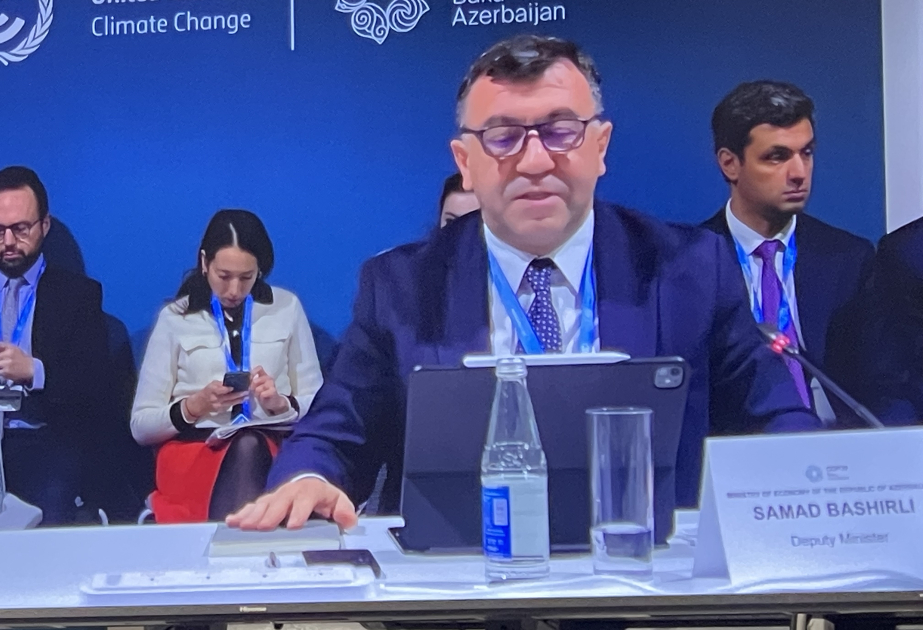 COP29-da yaşıl gələcək proqramlarının maliyyələşdirilməsi müzakirə olunub
