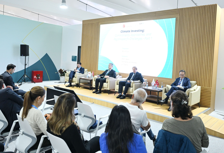 COP29 çərçivəsində “İqlim investisiyaları: Öhdəliklər, yanaşmalar və regionlara xas problemlər” mövzusunda tədbir keçirilib