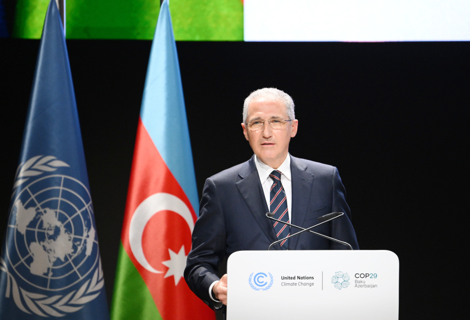 COP29-un yüksəkvəzifəli nümayəndələri plenar sessiyada çıxış ediblər VİDEO
