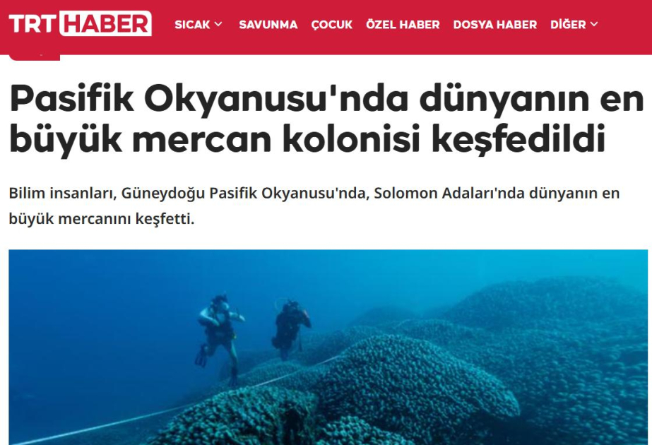 Турецкие СМИ: В рамках COP29 объявлено об обнаружении самого крупного коралла в мире