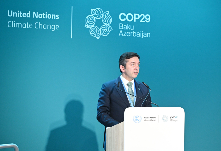 COP29 Sədrliyi və Çoxtərəfli İqlim Fondları iqlim təsirinin fəsadları ilə bağlı birgə tədbir keçirib