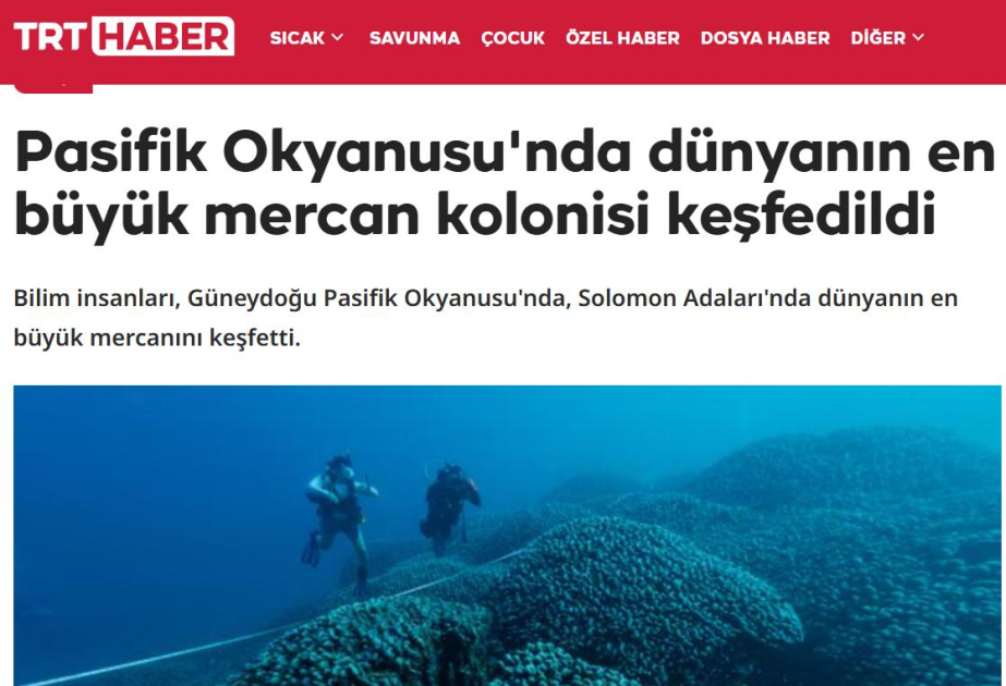 Türkiyə mediası: COP29-da dünyanın ən böyük mərcanının aşkar edildiyi açıqlanıb