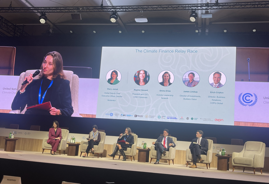 COP29-da “İqlim maliyyələşməsinin ümidləri və gözləntiləri” mövzusunda panel iclası keçirilib