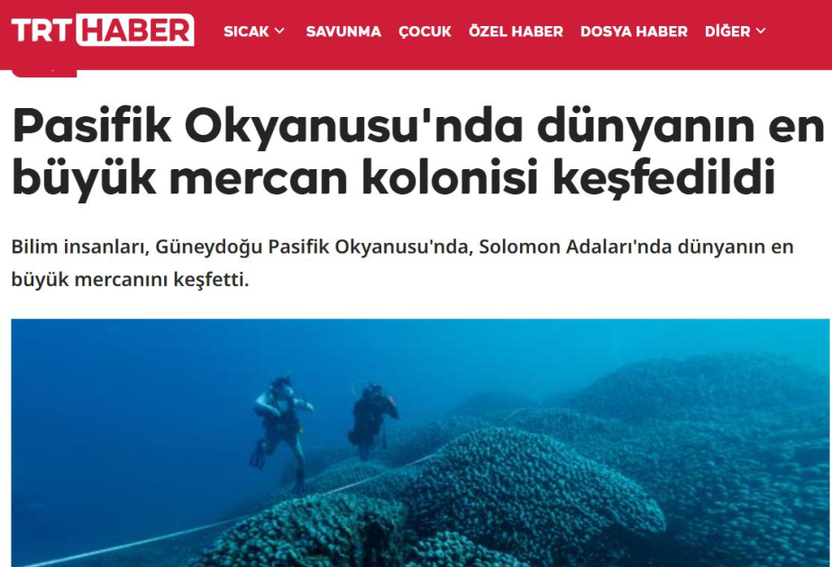 World`s largest coral discovery announced at COP29