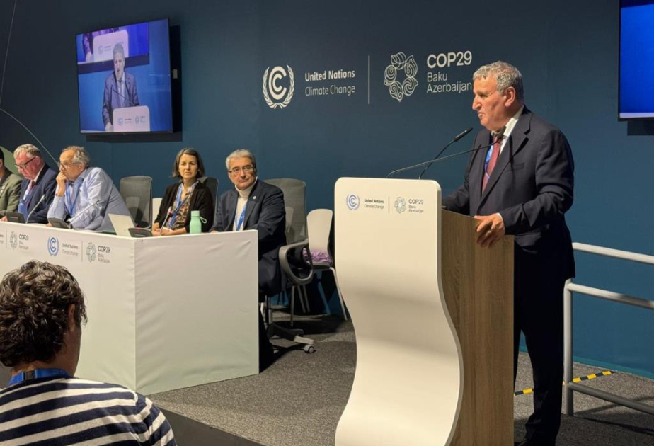 Akademik: Azərbaycanda keçirilən COP29 yeni sənaye inqilabının anonsu təsirini bağışlayır