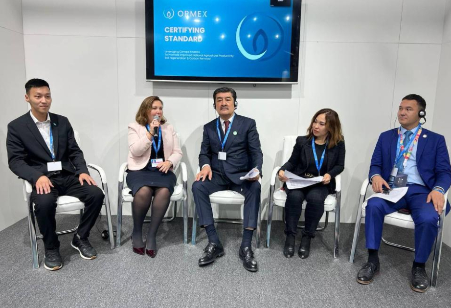 COP29 çərçivəsində karbon emissiyalarının ölçülməsi üçün innovativ üsullar müzakirə olunub