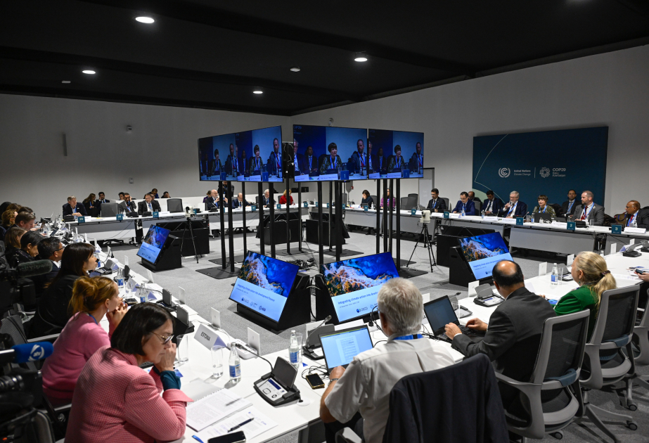 COP29 çərçivəsində iqlim fəaliyyətinin inkişaf maliyyəsinə inteqrasiyası müzakirə olunub
