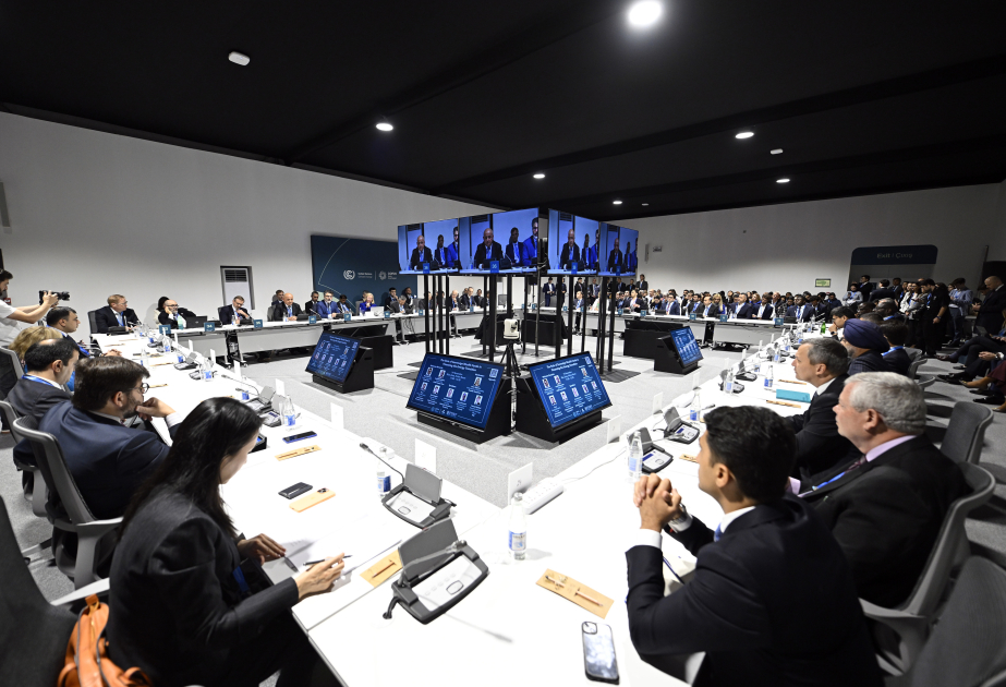 COP29 çərçivəsində enerji keçidinin maliyyələşdirilməsində suveren sərvət fondlarının roluna dair müzakirələr aparılıb