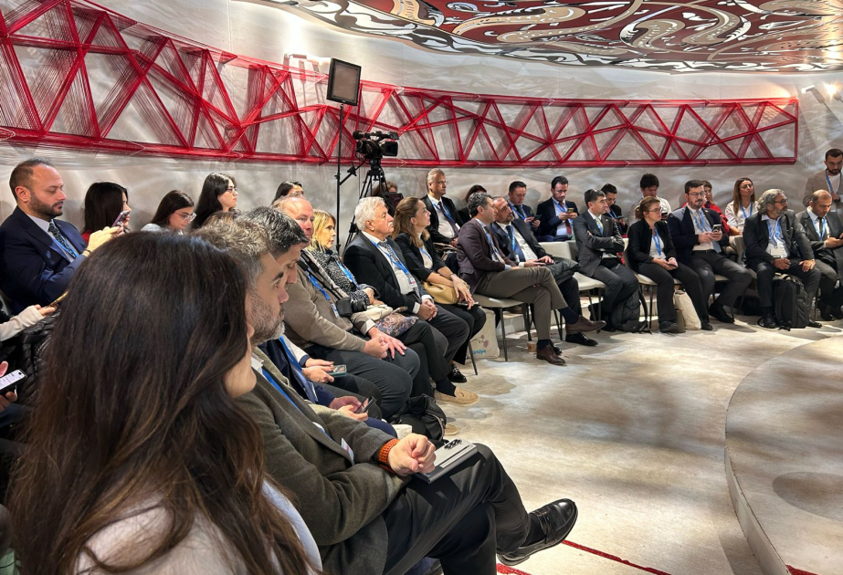 COP29 çərçivəsində karbonlaşma mövzusunda panel keçirilib