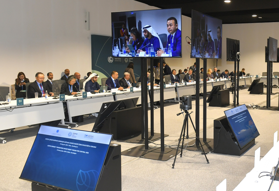 IRENA: Mərkəzi Asiya həm bərpaolunan enerji, həm də kritik mineral resurs potensialına malikdir