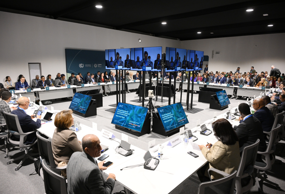 COP29: “İqlim və Sülh: heç kimi arxada qoymamaq naminə birgə fəaliyyət” adlı panel iclas keçirilib YENİLƏNİB-3 VİDEO