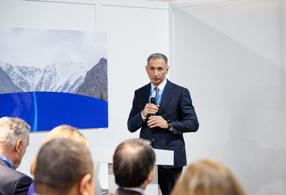 Green Digital Action’s high-level opening session held