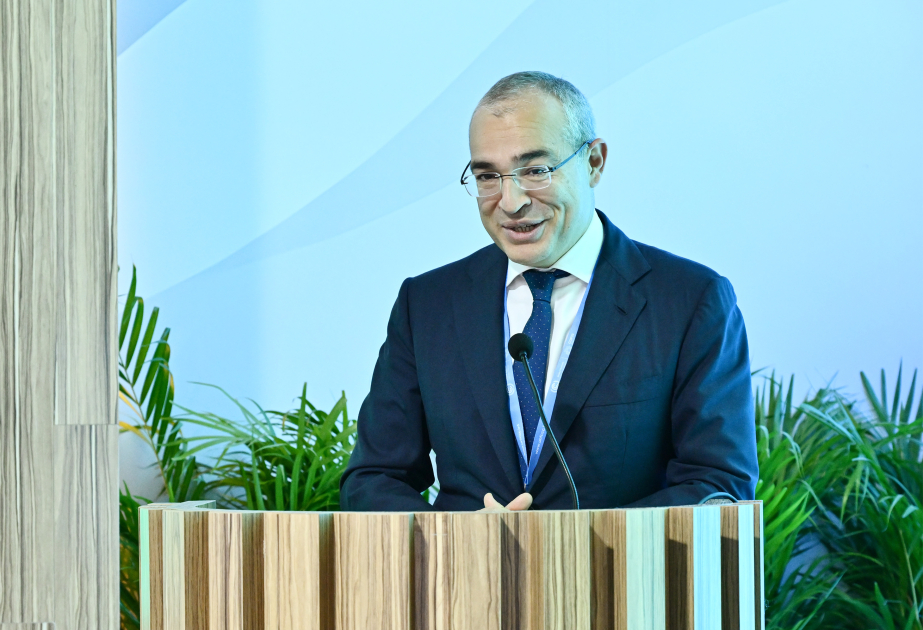 Nazir: “Yaşıl inkişaf portalı”nın istifadəyə verilməsi vacib praktiki təşəbbüslərdən biridir