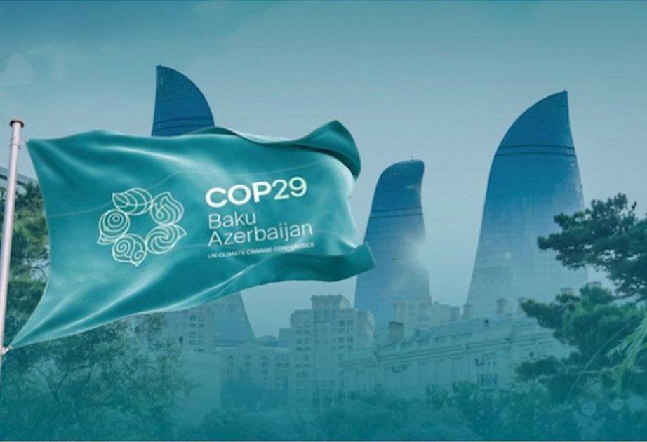 COP29 dünya birliyinə örnək olacaq  ŞƏRH