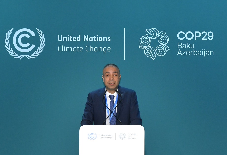 Elnur Soltanov: COP29-un Sədrliyi aşağıkarbonlu iqtisadiyyata ədalətli keçidin prinsiplərinə sadiqliyi təşviq edir