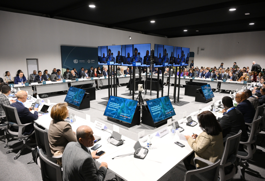 Baku hosts high-level panel on Climate and Peace: Enabling joint action to leave no one behind