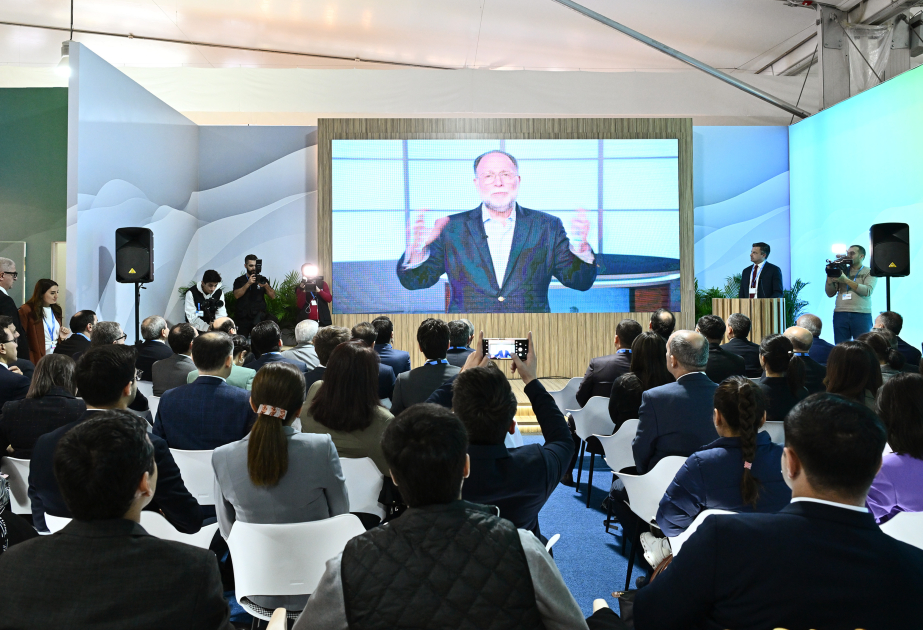 Harvard University professor: Enterprises must reduce carbon footprint by switching to renewable energy