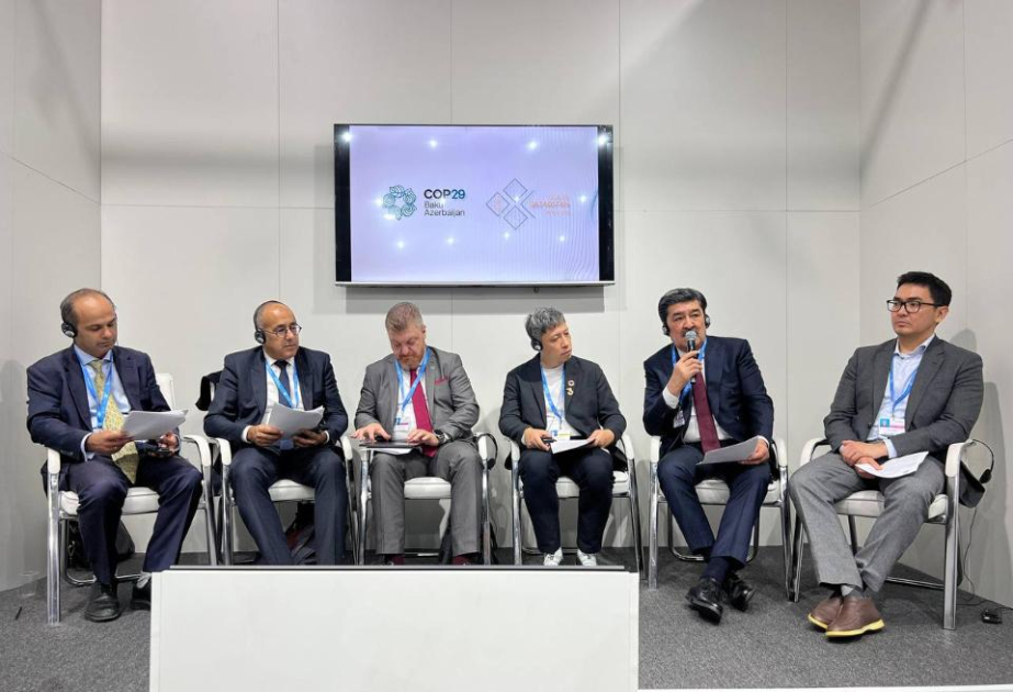 Казахстан представил новые инициативы на COP29