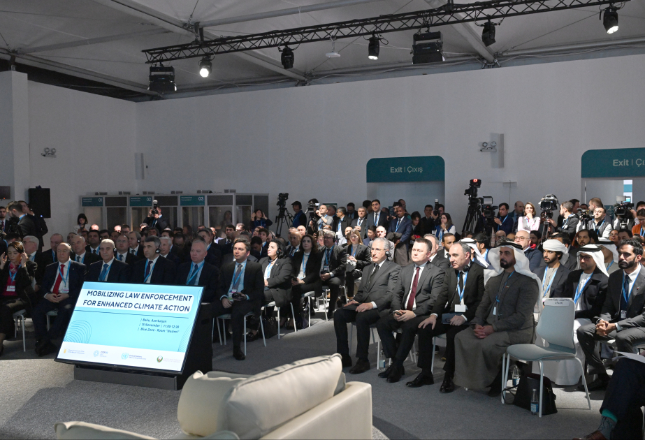 COP29 çərçivəsində iqlim dəyişikliyi ilə mübarizəyə hüquq-mühafizə orqanlarının səfərbər edilməsi müzakirə olunub