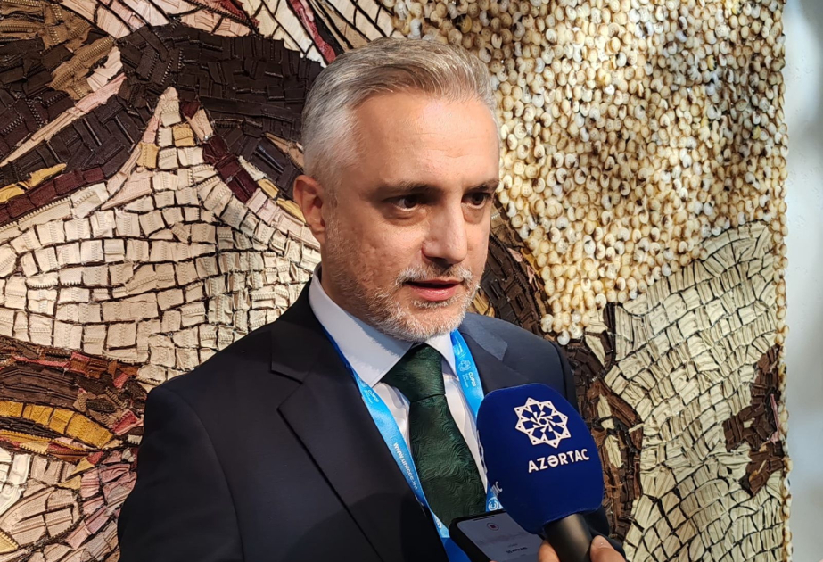 Altuğ Karataş: Xəzərin Azərbaycan sektoru yüksək külək enerjisi potensialına malikdir