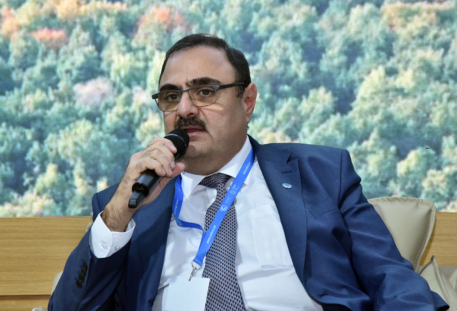 “Masdar”: Günəş və külək enerjisindən səmərəli istifadə Azərbaycanın yaşıl enerji konsepsiyasının əsas elementlərindəndir