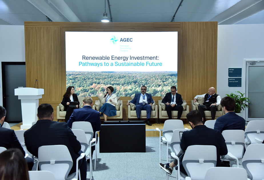 COP29 çərçivəsində "Bərpa olunan enerjiyə investisiya: Davamlı gələcəyə aparan yollar" mövzusunda tədbir keçirilib
