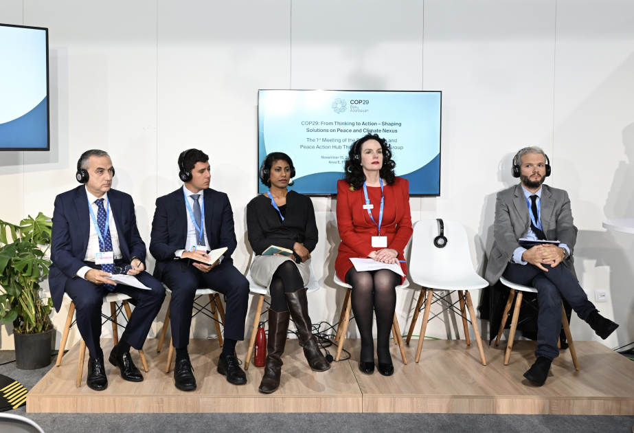COP29 features round table on “From Thinking to Action – Shaping Solutions on Peace and Climate Nexus”