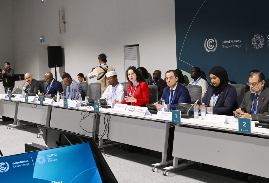 На COP29 обсуждалось построение сетей для укрепления мира и устойчивости в условиях чувствительности к климату