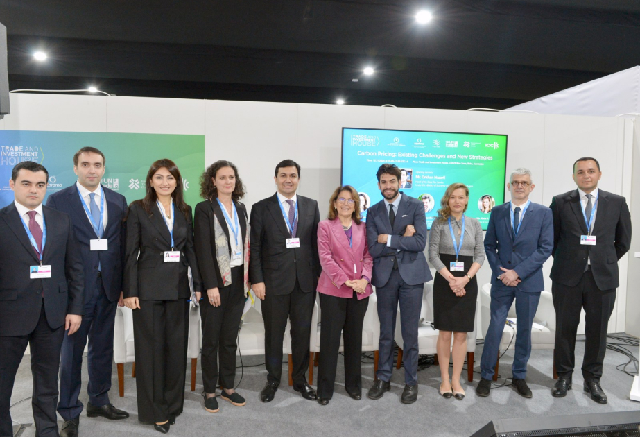 “Karbon qiymətqoyma: mövcud çağırışlar və yeni strategiyalar” mövzusunda panel müzakirəsi keçirilib