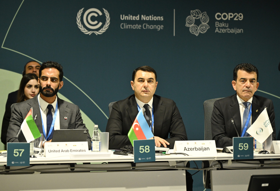 COP29 çərçivəsində Mədəniyyət Nazirlərinin 2-ci Yüksək Səviyyəli Görüşü təşkil edilib VİDEO