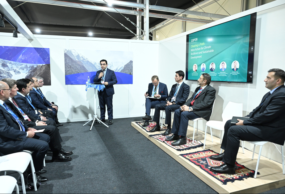 COP29 çərçivəsində ANAMA və BMTİP birgə mina təhlükəsi ilə mübarizə və ekoloji dayanıqlılıq üzrə yan tədbir keçirib