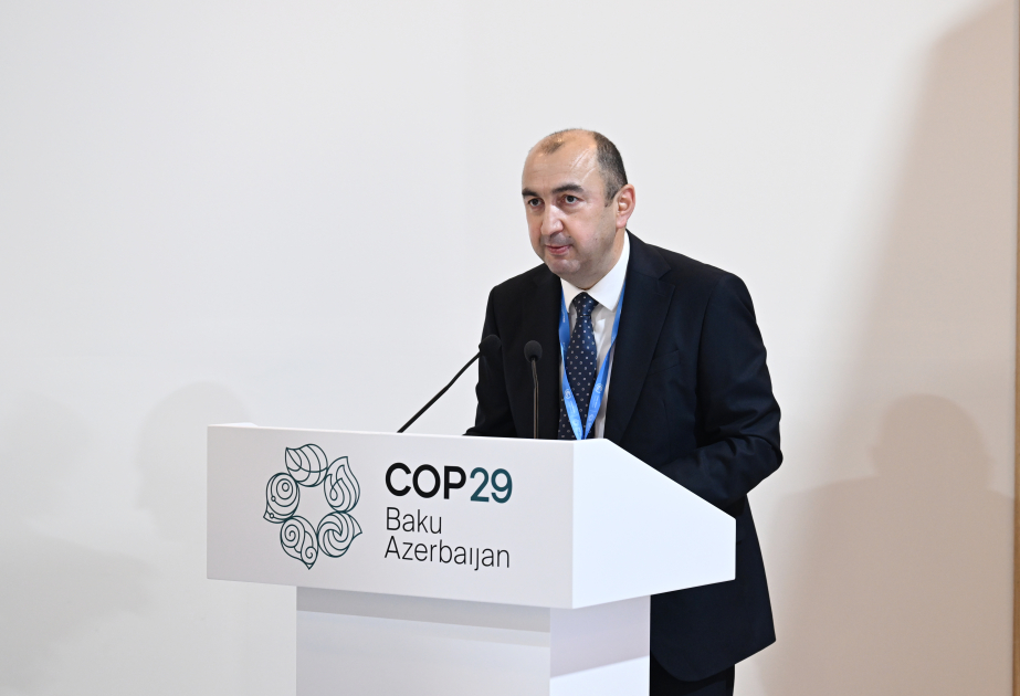 Azərbaycanın bərpaolunan enerji üzrə qoyuluş gücü payının 2027-ci ilədək 33 faizə çatdırılması hədəflənir