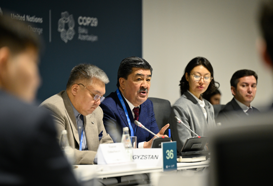 COP29-da dənizə çıxışı olmayan inkişaf etməkdə olan ölkələrin iqlim və inkişaf problemləri müzakirə olunub VİDEO