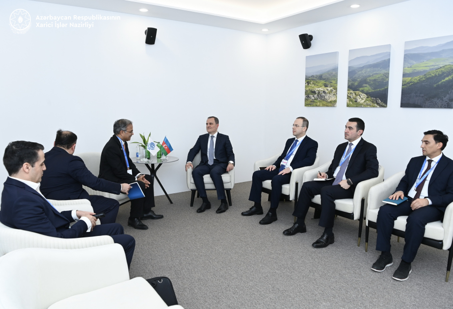 La Cancillería de Azerbaiyán y la Organización de Cooperación Económica discuten la cooperación en la lucha contra el cambio climático