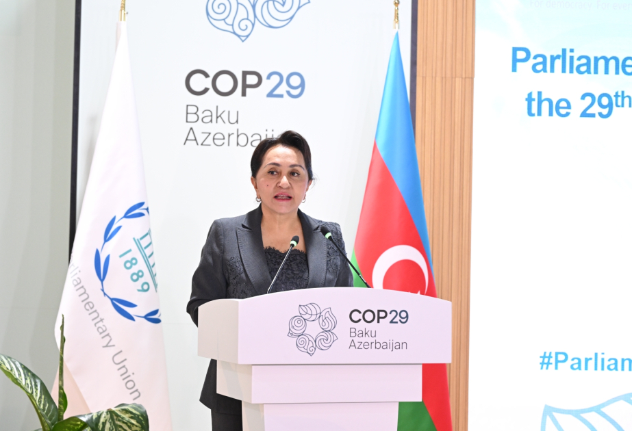Özbəkistan Ali Məclisi Senatının sədri: Azərbaycan COP29-u yüksək səviyyədə təşkil edib
