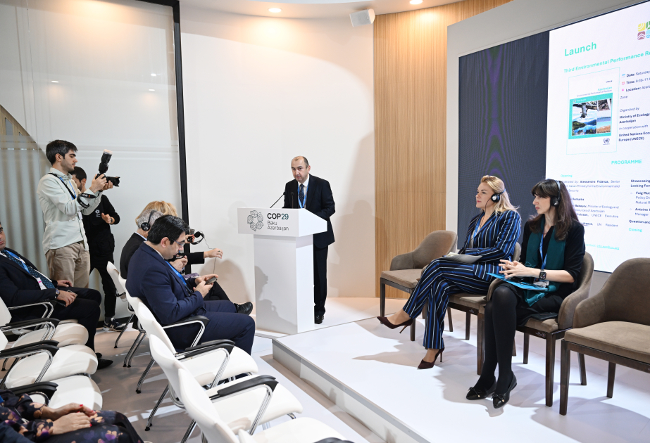 Nazir müavini: İşğaldan azad edilmiş ərazilərin yaşıl enerji zonasına çevrilməsi siyasəti həyata keçirilir