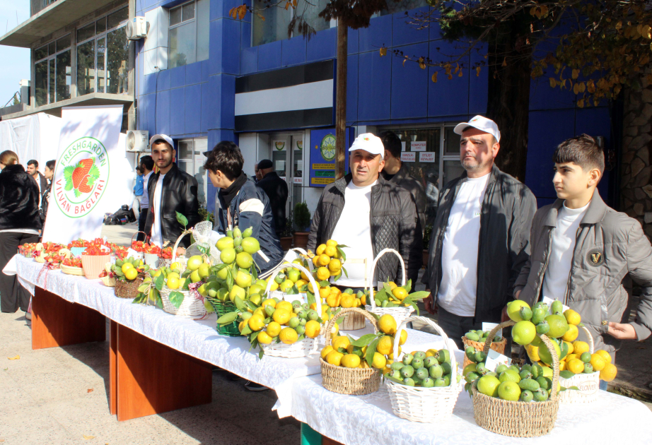 Lənkəranda "Yaşıl Dünya Naminə Ekofestival" keçirilib VİDEO