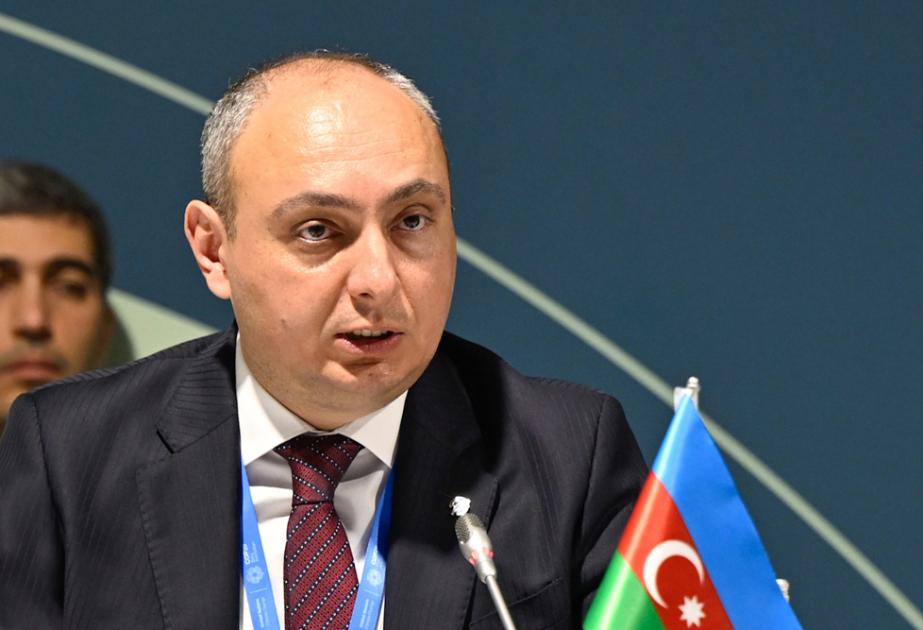 “Azərkosmos”un sədri: COP29 çərçivəsində beynəlxalq kosmosa əsaslanan İqlim Fəaliyyəti öhdəliyi qəbul ediləcək