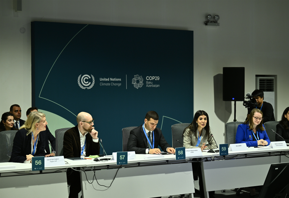 COP29 çərçivəsində “İqlim dəyişikliyinə dayanıqlı kiçik orta bizneslər” mövzusu müzakirə edilib VİDEO