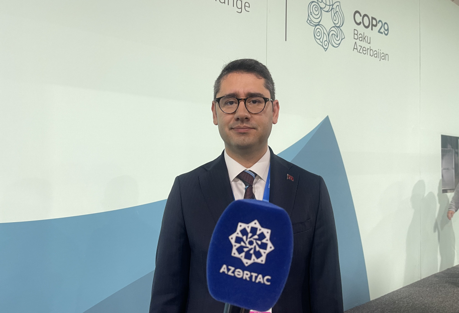 Türkiyəli nazir müavini COP29 çərçivəsində keçirilən tədbirləri yüksək qiymətləndirib