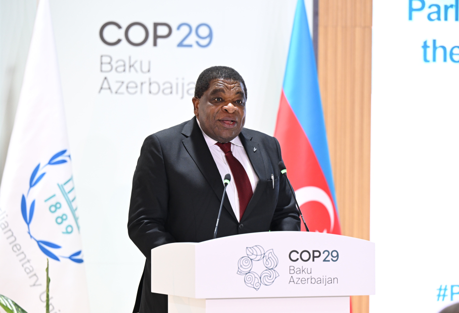 Parlamentlərarası İttifaqın Baş katibi: Biz parlamentləri iqlimə uyğun qanunvericiliyi dəstəkləmək üçün səfərbər etməyə çalışacağıq VİDEO